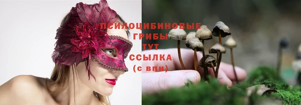 трава Верхний Тагил