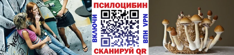 Псилоцибиновые грибы Psilocybe  закладка  Новомосковск 